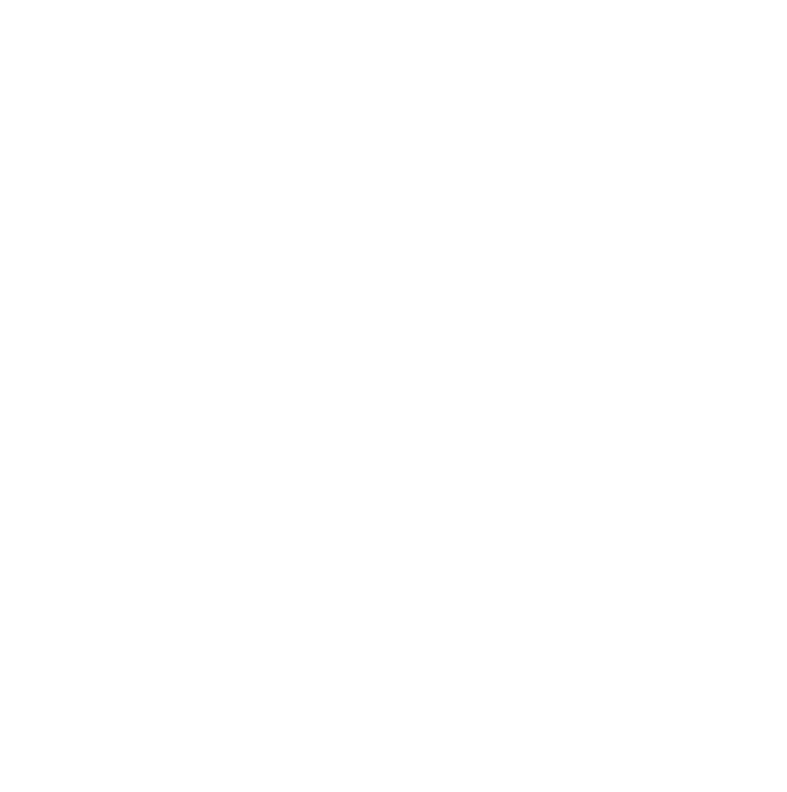 logo_negativ